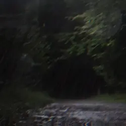 사용해서 확인ㄴ!!!!