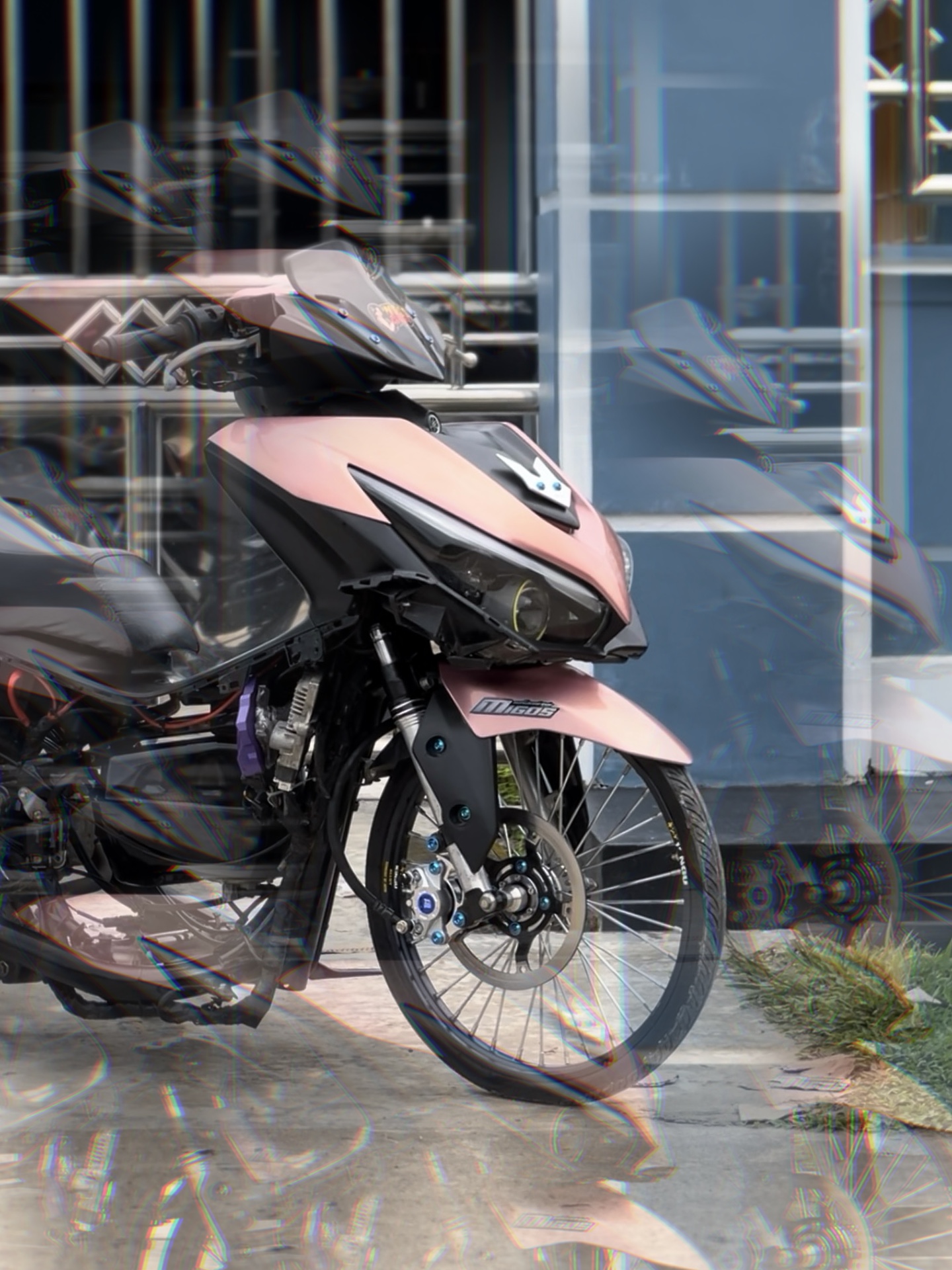 Cover Picture