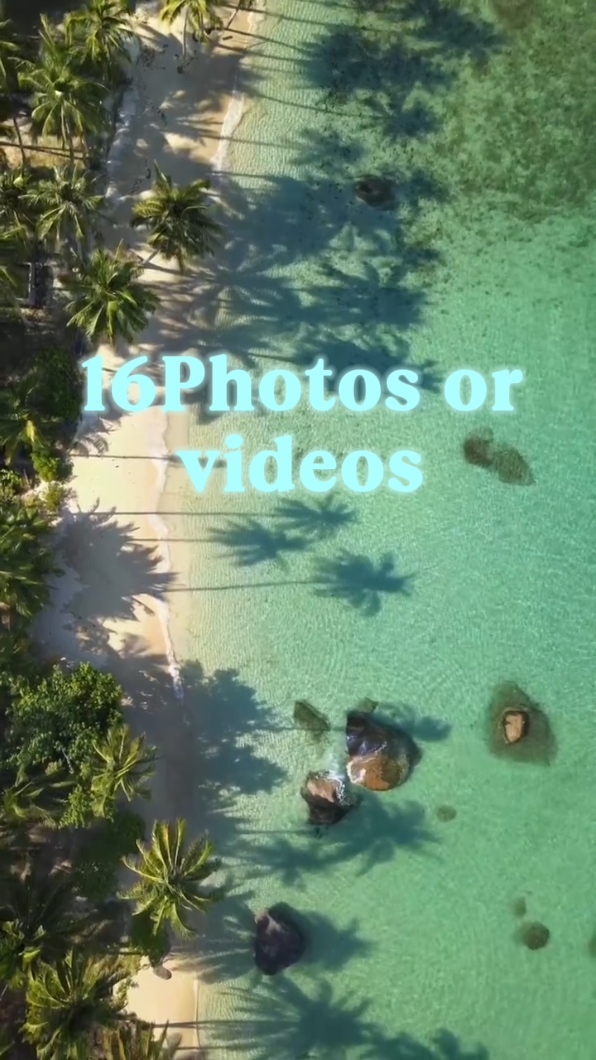 16 Fotos o videos 