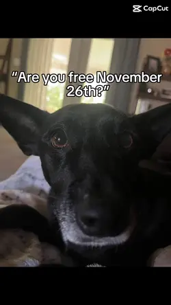 Stranger things!! 🤩