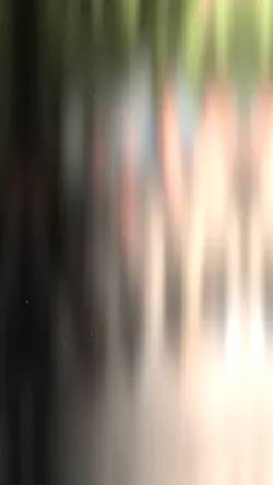 KÜRTLERİN AKIMI 🫶