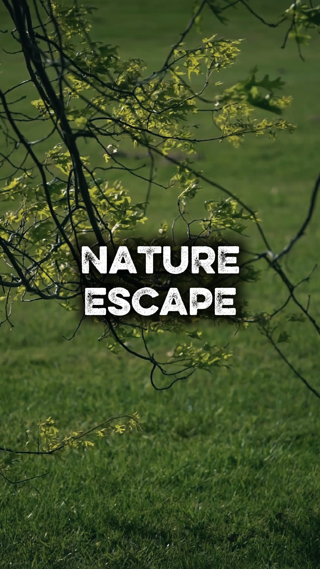 Escape de la naturaleza