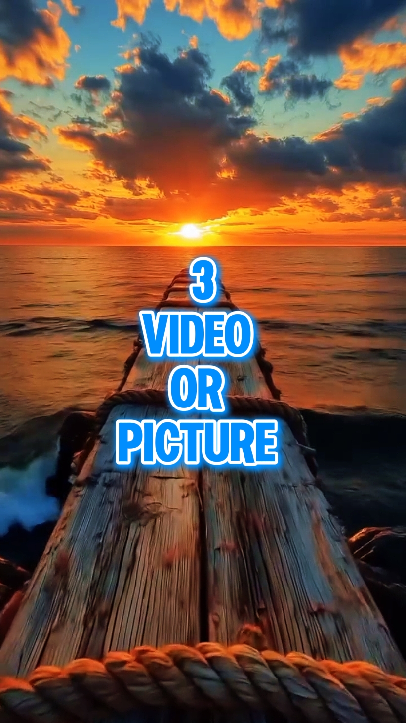 3 video or picture