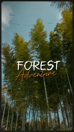 Forest Adventure 