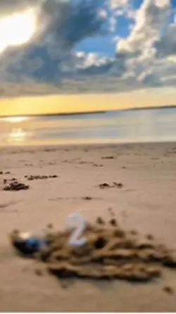 Aniversário e Praia 