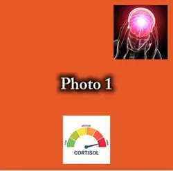 Cortisol