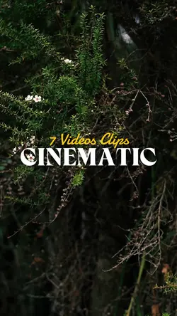 7 Clips CINEMATIC