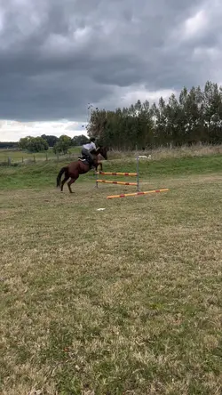 Jumping