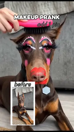 makeup prank 