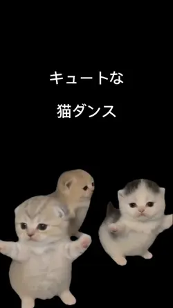 猫トリオ