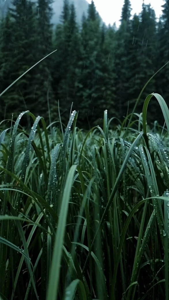 CINEMATIC 5 VIDEOS