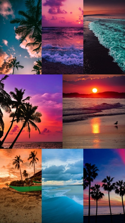 8 fotos 