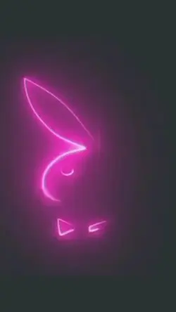 PLAYBOY