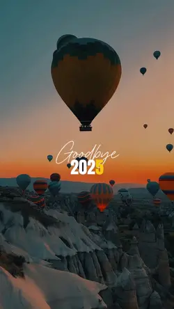 Goodbye 2025