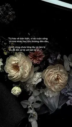 Caption + màu