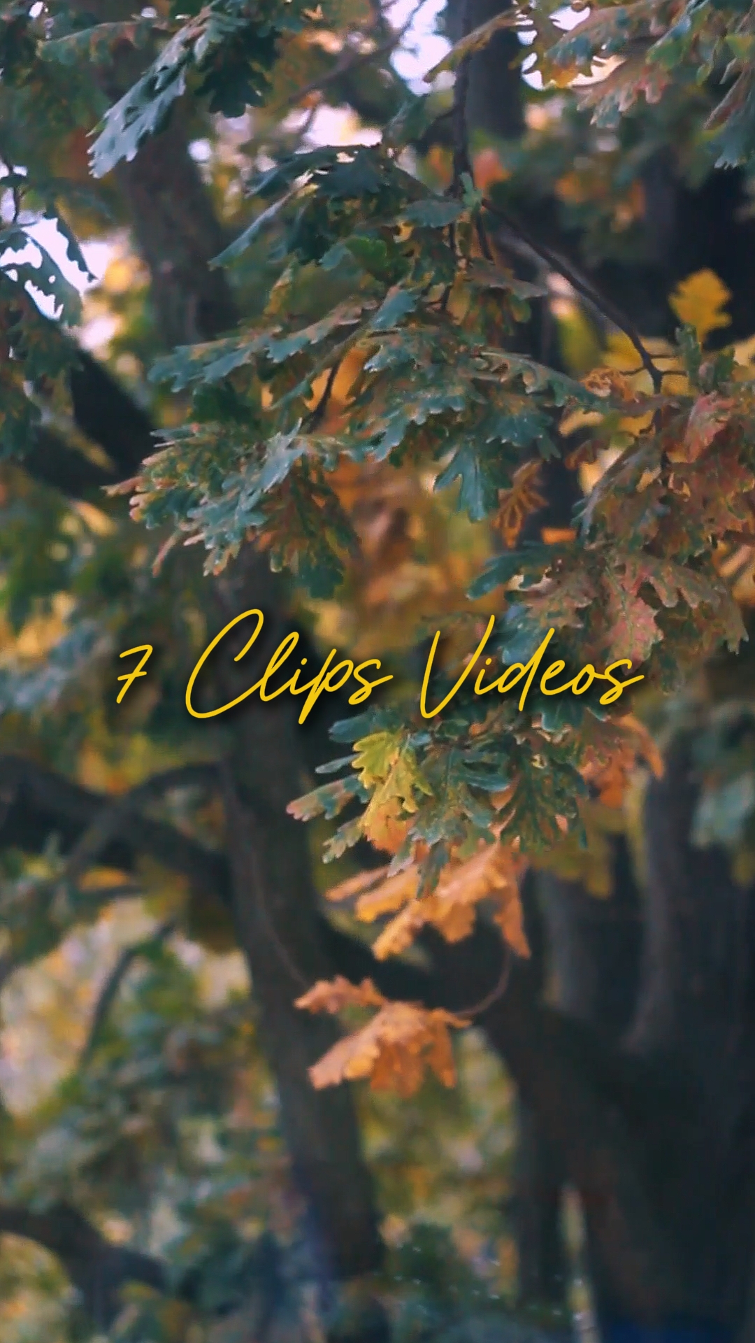 7 Videos Cinemáticos