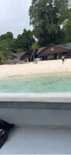 Mulanya di sini