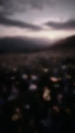 SlowMo | Filter