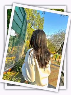 8Pic Frame Aesthetic