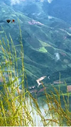 Mẫu buồn 😓