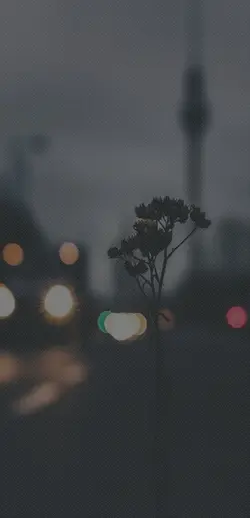 If only I met you...