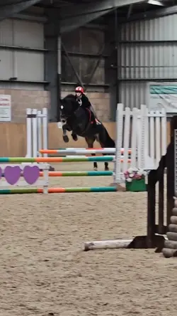 equestrian edit