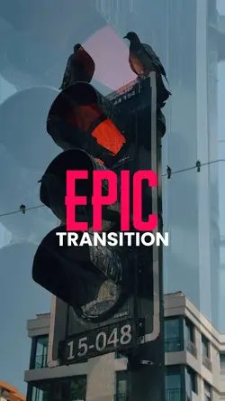 Epic transition