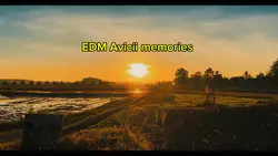 EDM Avicii memories