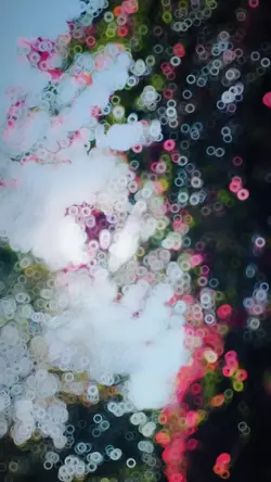 New Slowmotion 🌸💖