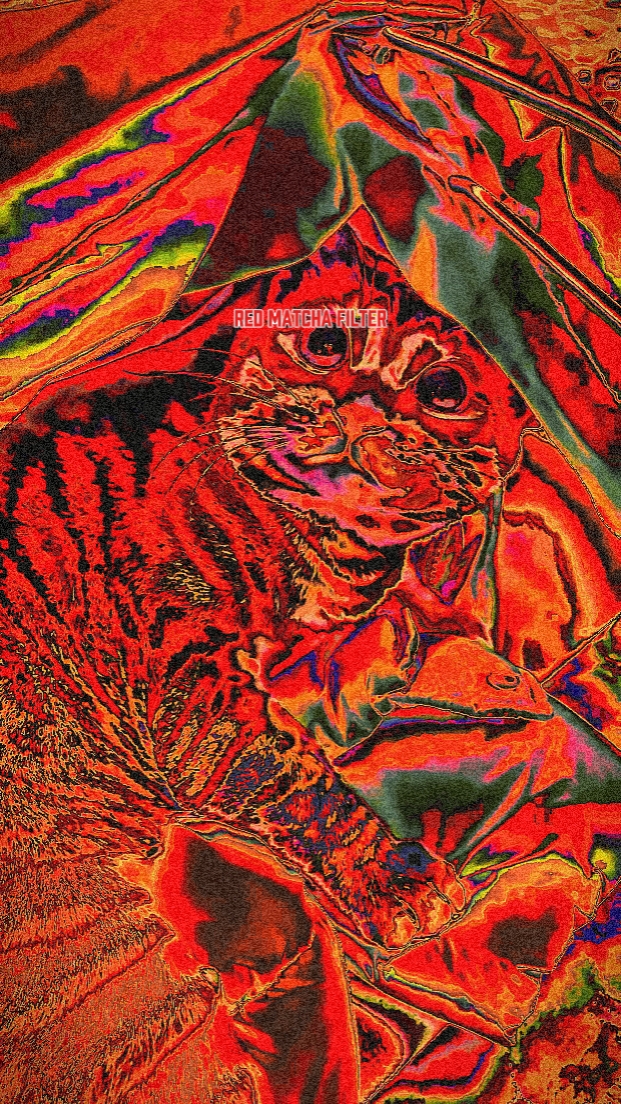Red matcha filter
