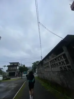 模板