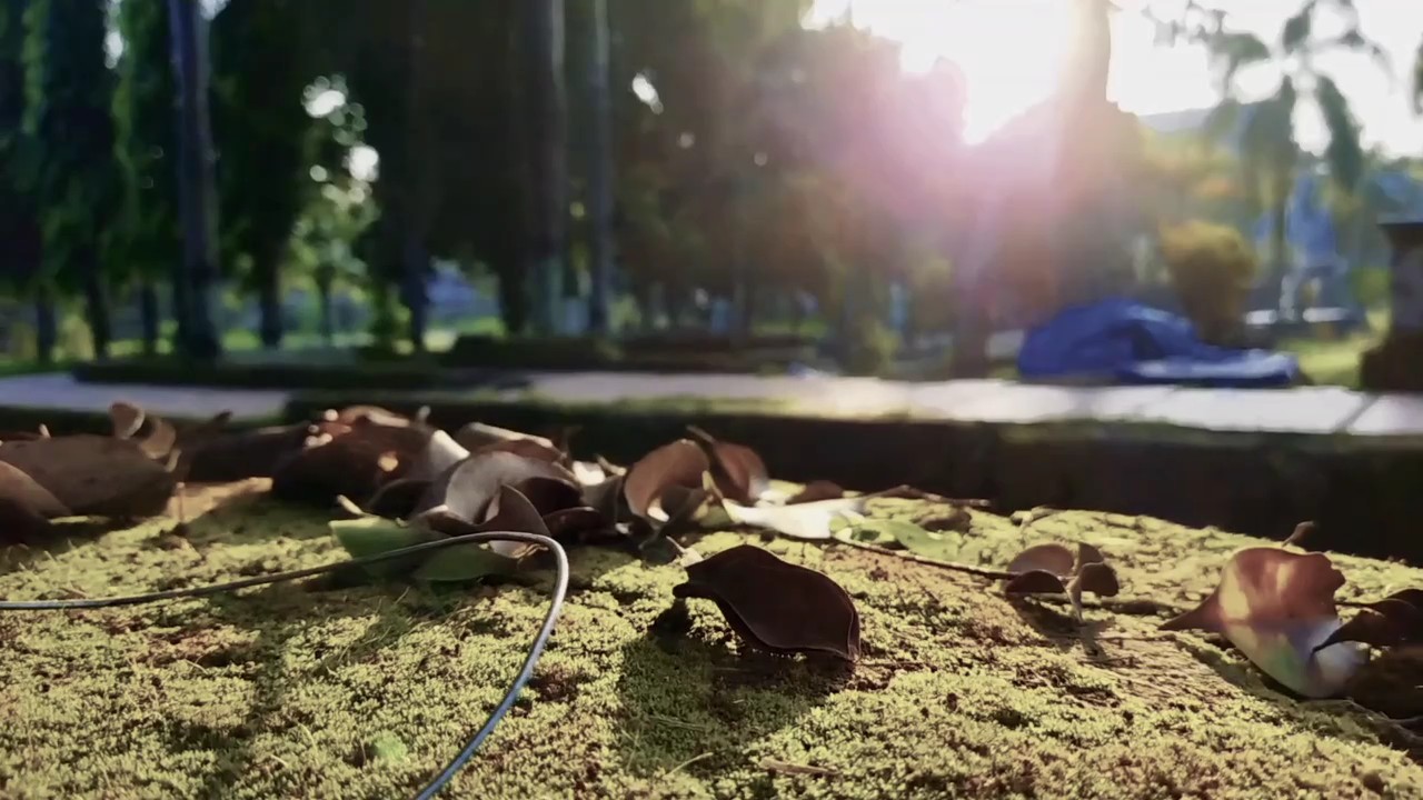 cinematic slowmo