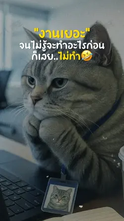 งานเยอะ