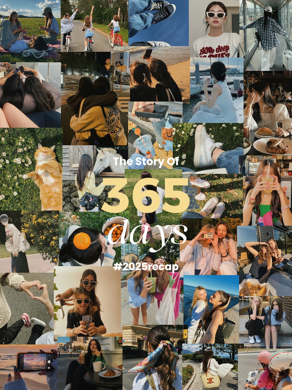 365일 2025 요약