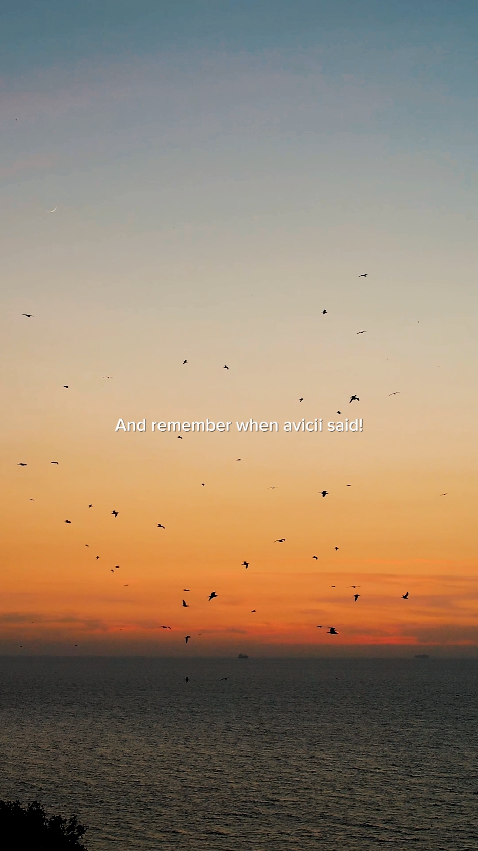 Avicii berkata! 
