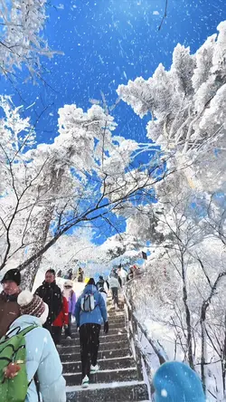 Snow Trend