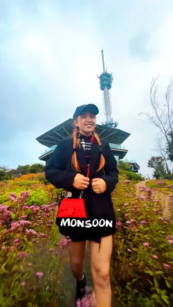 Monsoon free (Pro)
