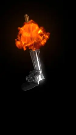 Shotgun portrait ¹⁹
