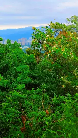 舒壓版的大自然風景
