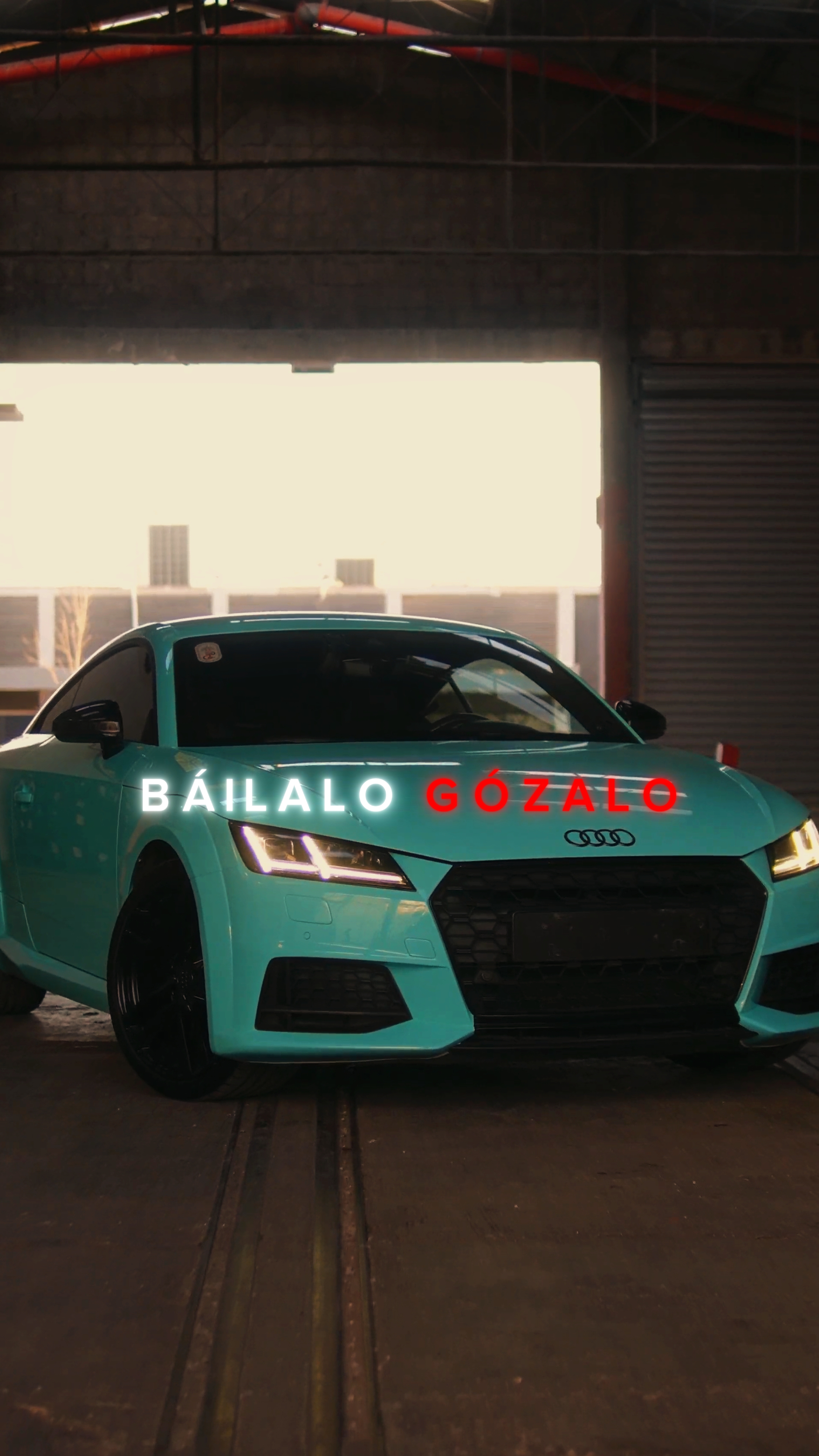Bailalo Gozalo