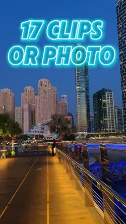 17 clips or photo 