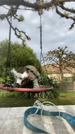  
╶⃝⃤⋆.˚✮🎧✮˚.⋆╶⃝⃤