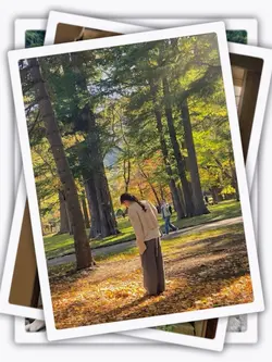 20PicClip Transition