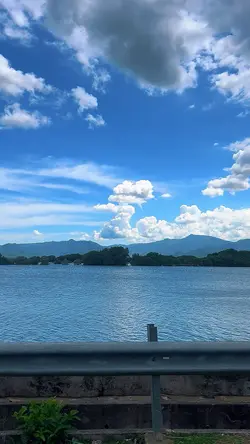 Cinematic Nature