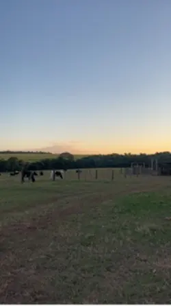 Vida no campo 