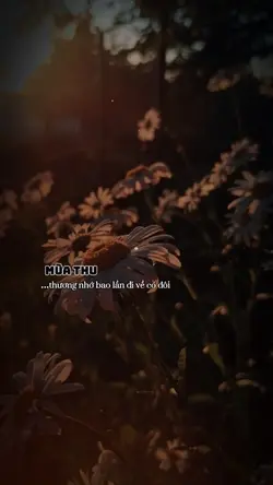 Mùa thu thương nhớ