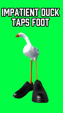 IMPATIENT DUCK