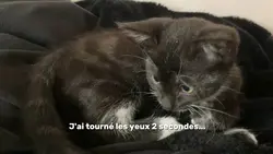 Glow up chat
