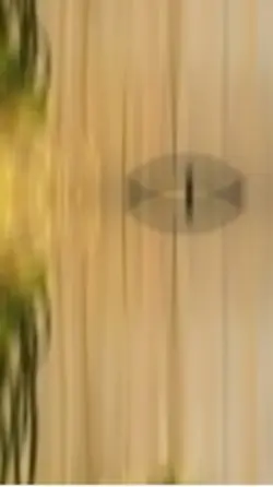 ࣿنشی د نظرہ ناوی 👰