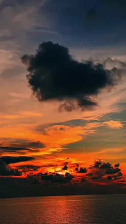 kata kata senja
